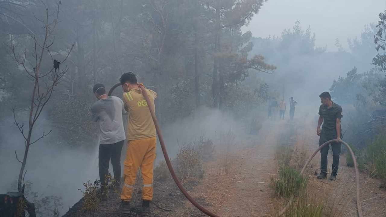 Hasanbeyli Yangını