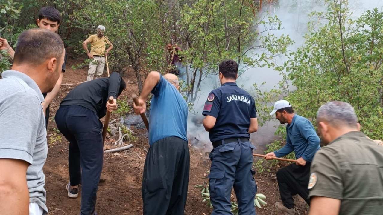 Hasanbeylide Orman Yangını Kontrol Alındı