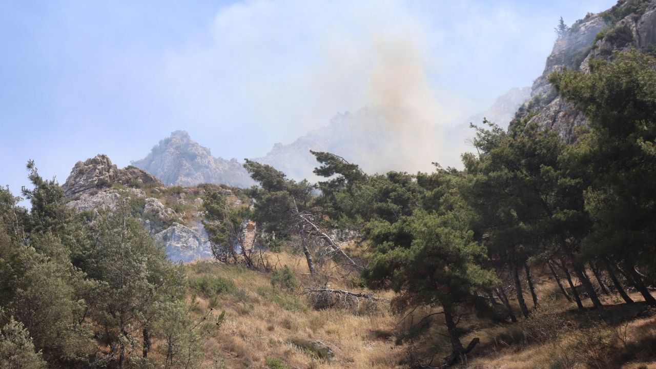 Hatay Orman Yangını (4)