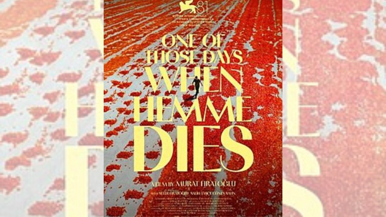 Hemmenin Öldüğü Günlerden Biri (3)