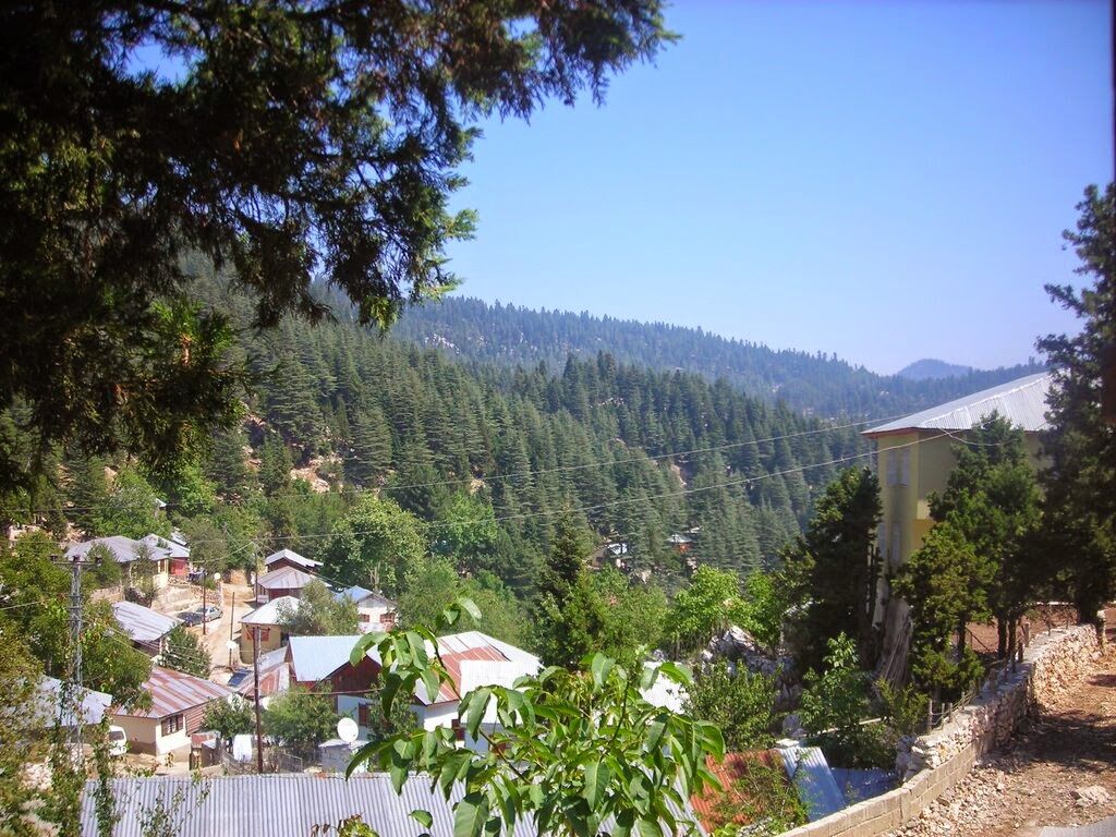 Kadirli Maksutoğlu Yaylası