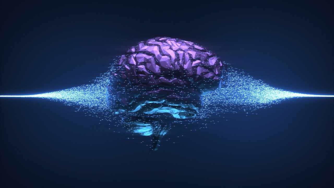 Merzigo Insight Series (3)