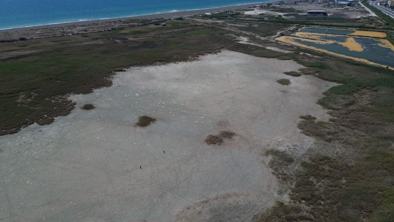 Milleyha Kuş Cenneti (2)