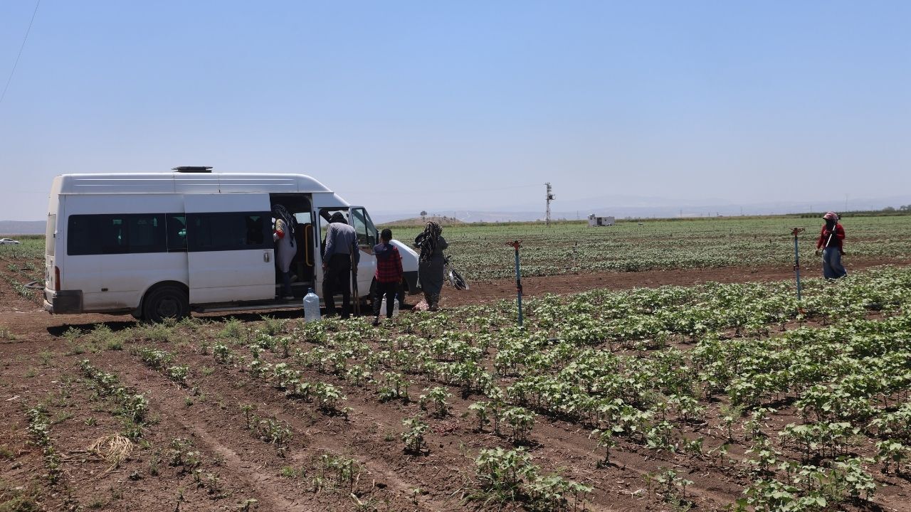 Tarım Işçileri (3)