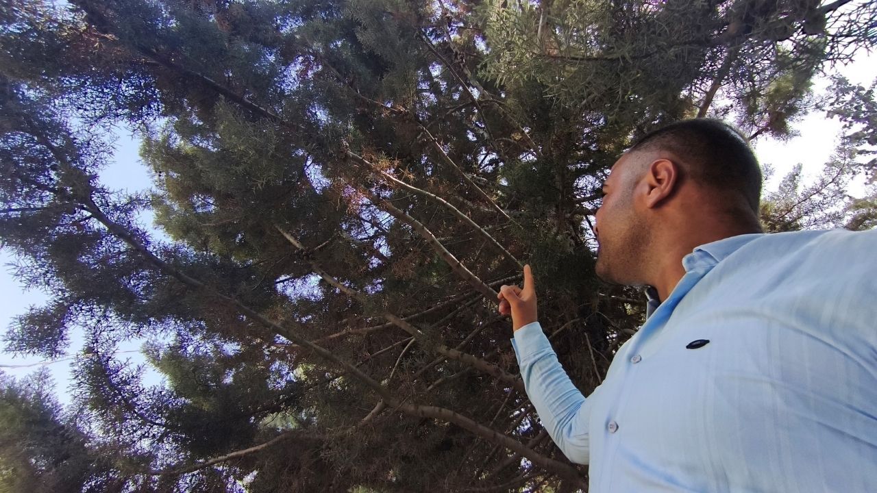Yılan Ziyafeti (4)