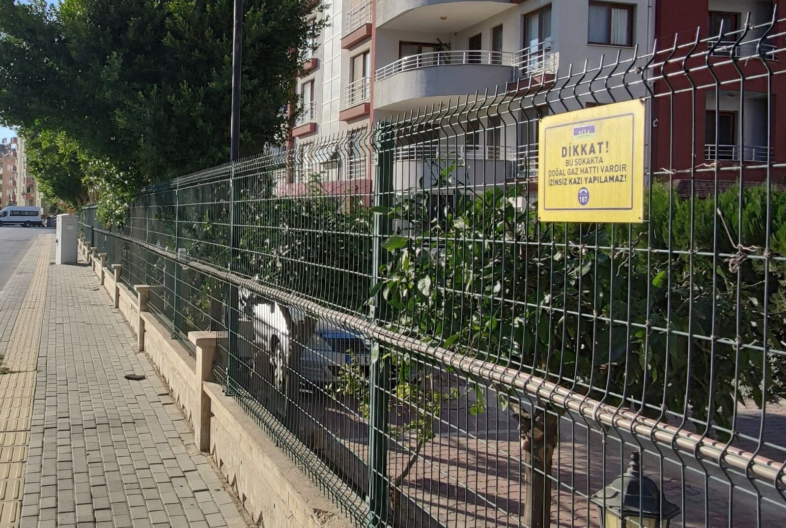 Aksa