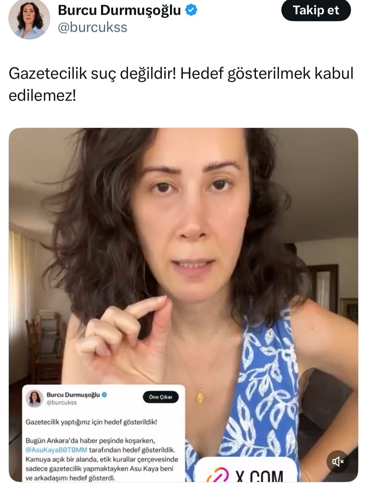 Asu Kaya Chp Osmaniye Milletvekili Gazeteciyi Hedef Gösterme Iddiasi