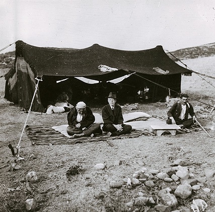 Bartok Tüysüz 2. Res