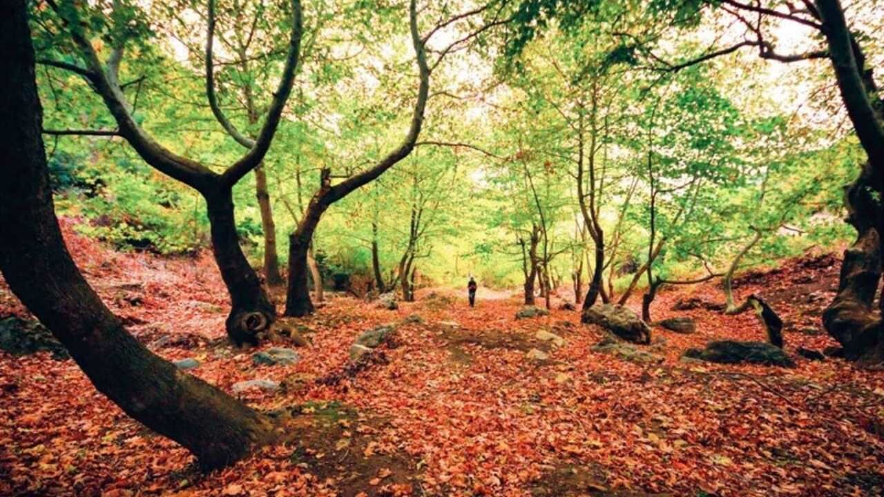 Çukurova Sıcağında Huzur Vaat Eden 4 Yayla (3)