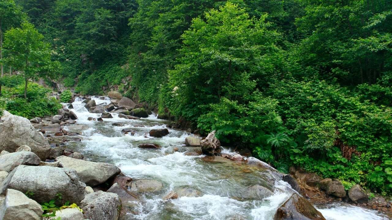 Çukurova Sıcağında Huzur Vaat Eden 4 Yayla (7)