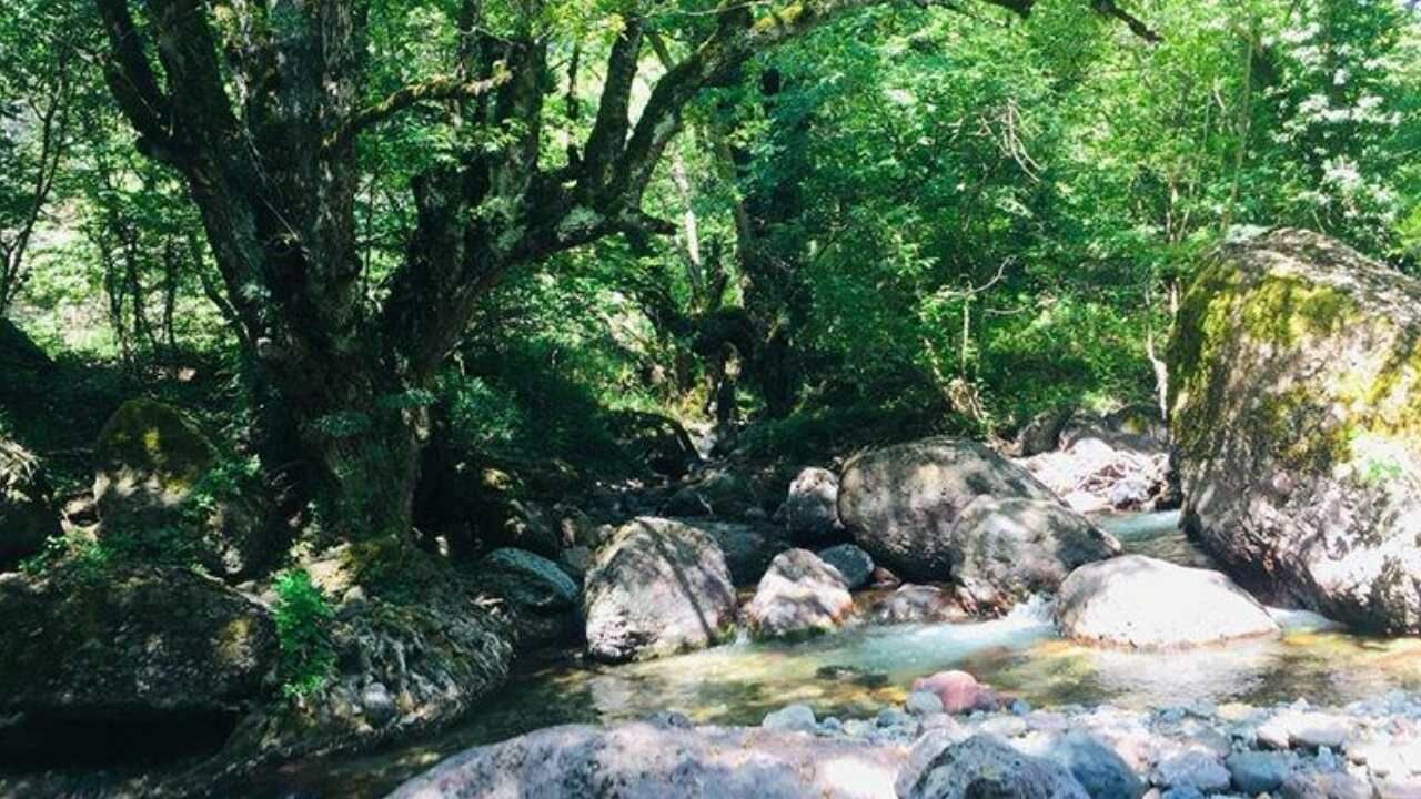 Çukurova Sıcağında Huzur Vaat Eden 4 Yayla (8)