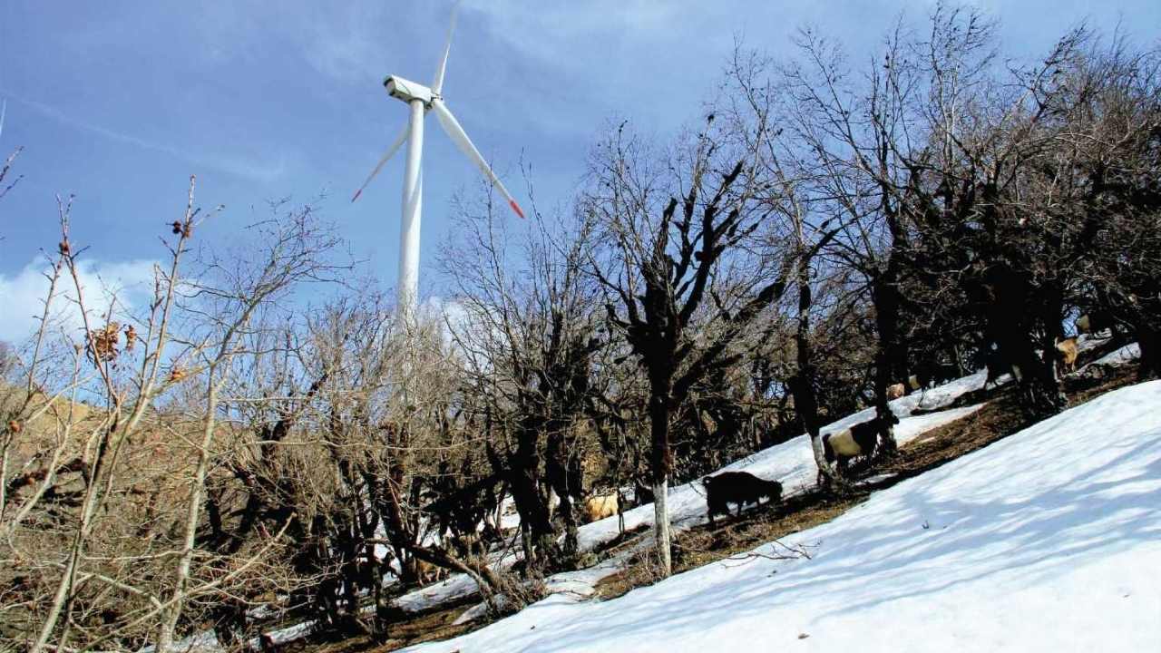 Hasanbeyli Görenleri Şaşırtıyor (6)-1