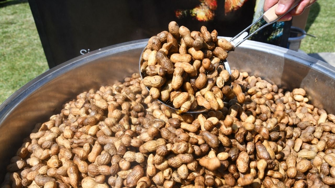 Malazgirt Zaferi Kutlamalarında Osmaniye Fıstığı Ve Kömbe İkramı