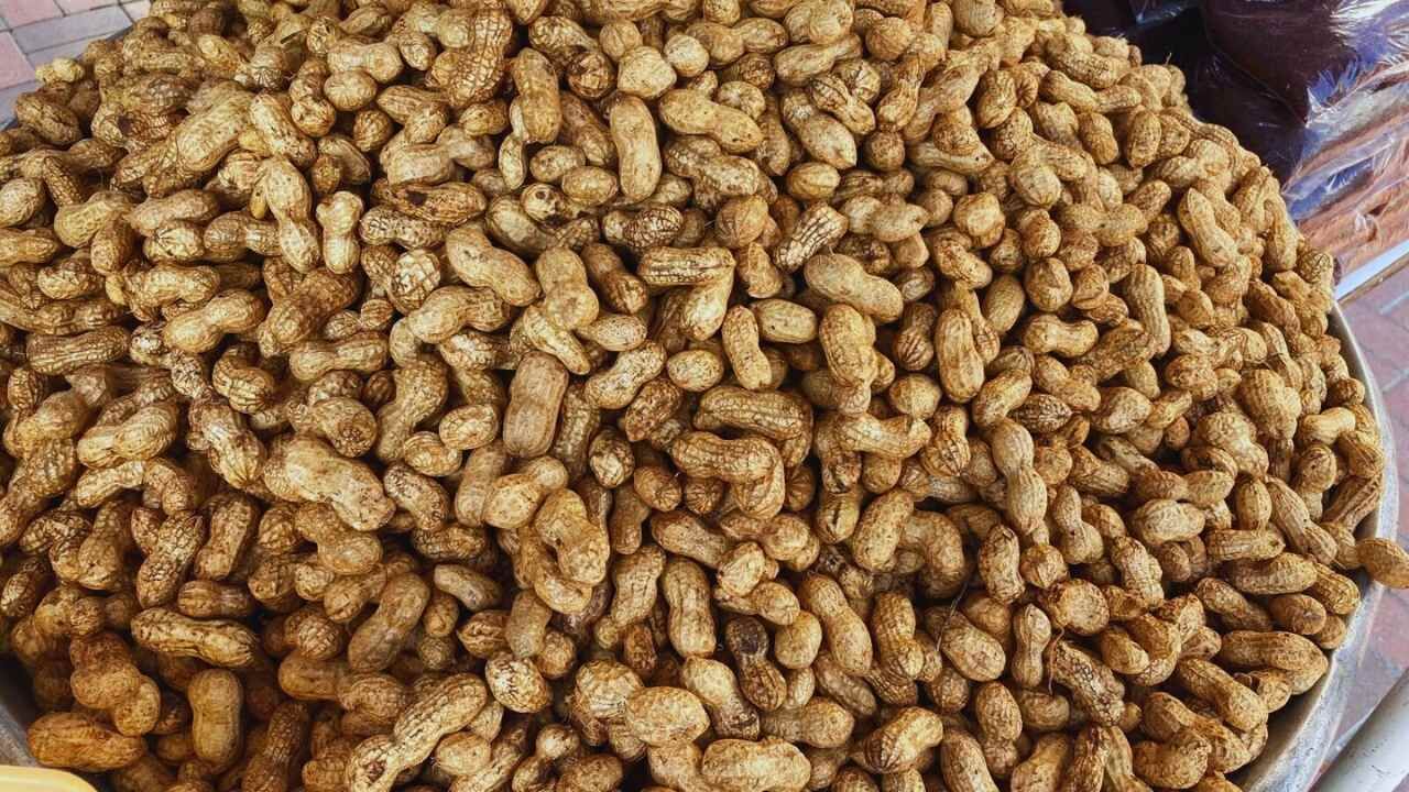 Osmaniye Meşhur Yer Fıstığı