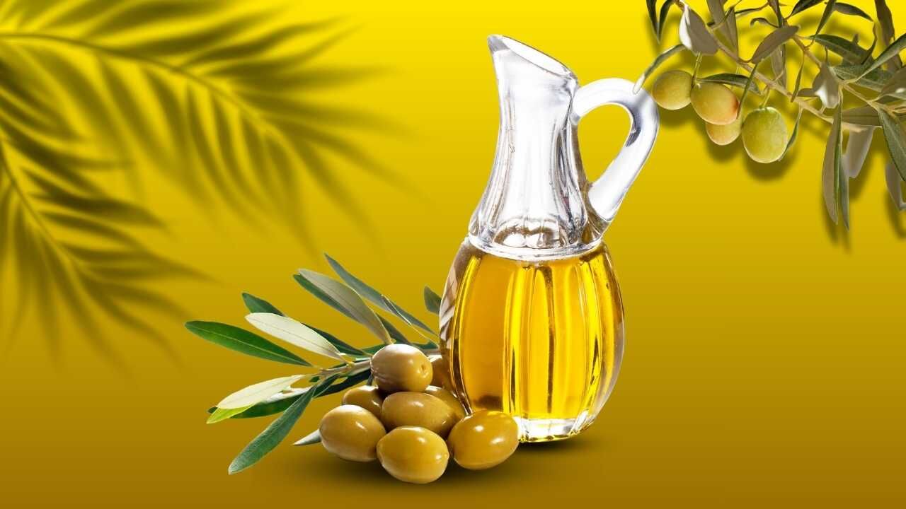 Osmaniye Zeytinde Altın Çağını Yaşıyor (7)