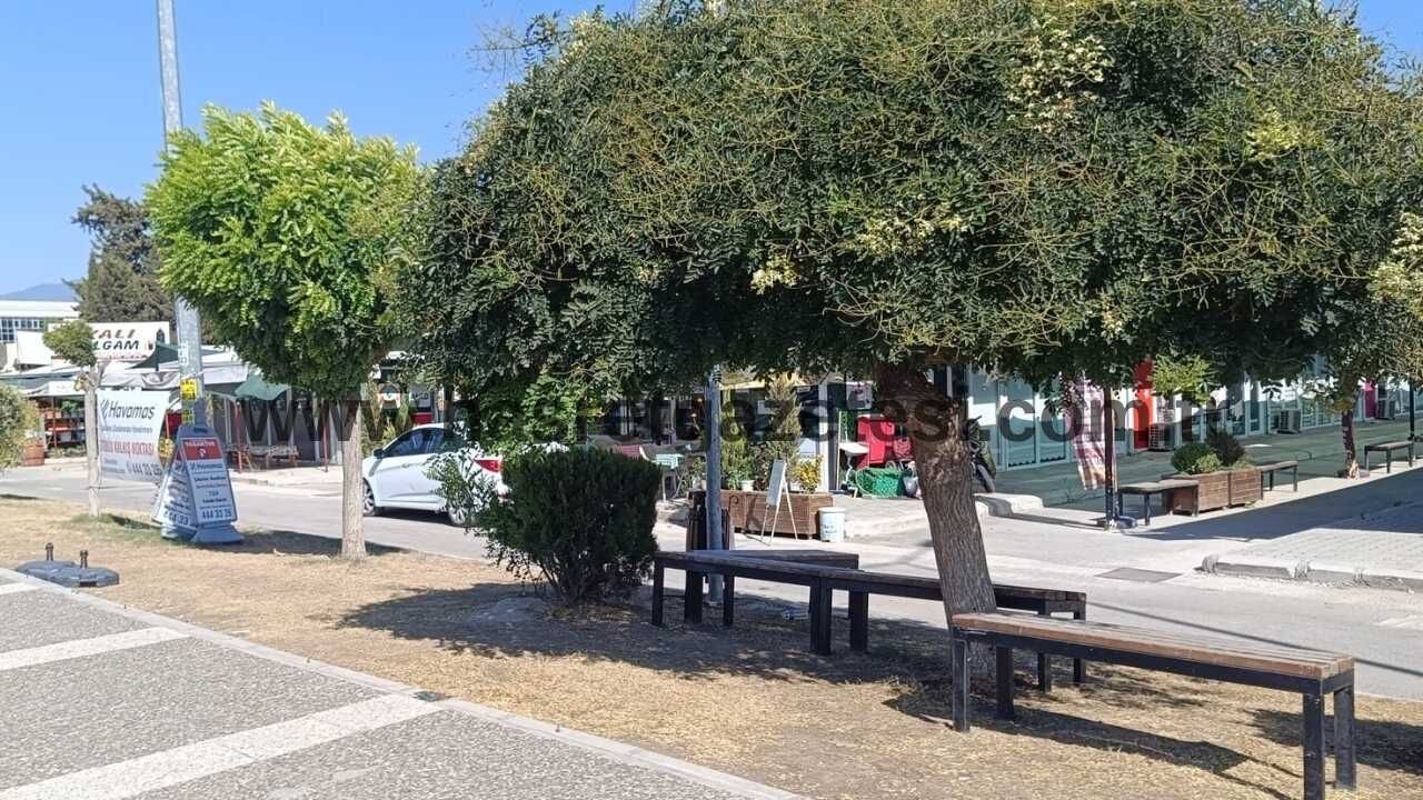 Osmaniye'de Yolcular Çukurova Havalimanı Servisi Için Çözüm Bekliyor (2)