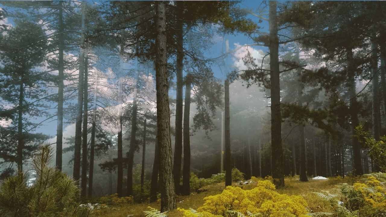 Zorkun Yaylası’na Gitmek Isteyenler Dikkat (3)