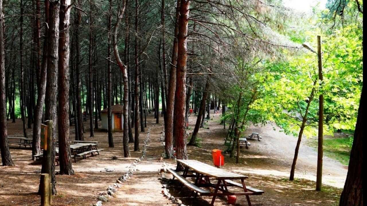 Osmaniye Çiftmazı Tabiat Parkı