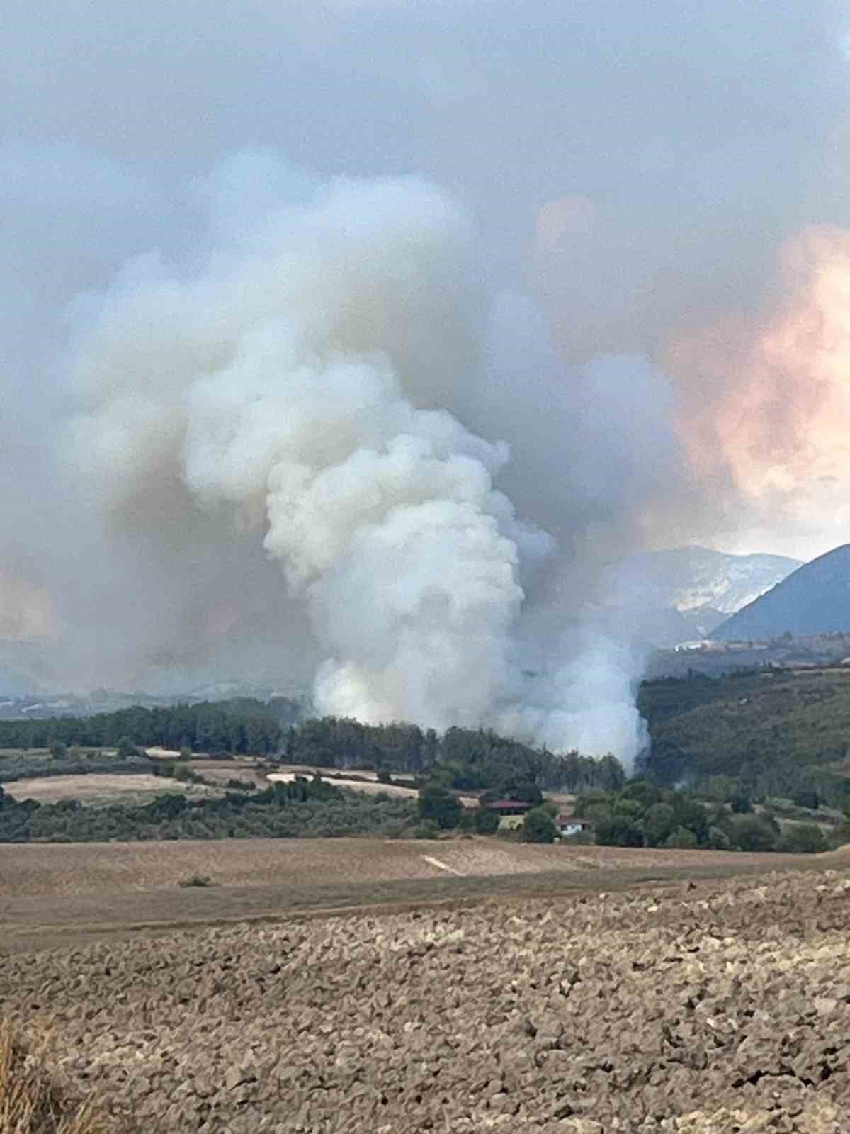 Osmaniye Sumbas Orman Yangını