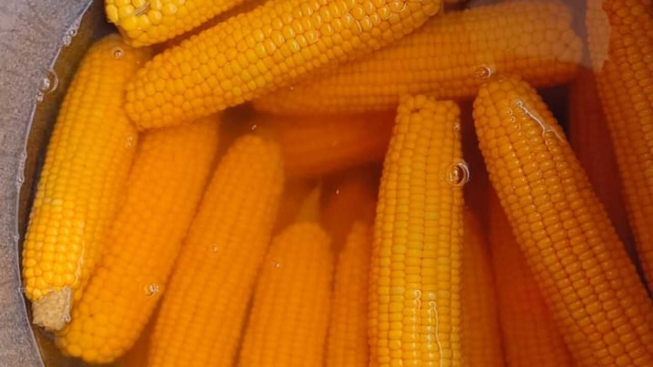 Osmaniye'de Kokusu Sokağı Saran, Sohbeti Gönüllere Dolan Mısır Satıcısı ! (3)