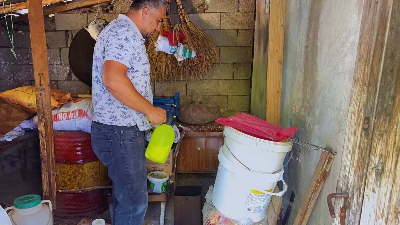 Osmaniyede Yılan Paniği 2