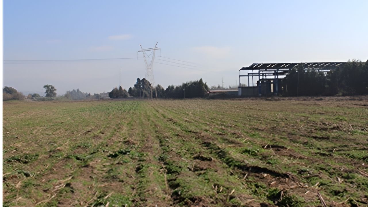Osmaniye’nin Toprakkale Ilçesinde, Dönemin Valisi Celalettin Cerrah Ve Kaymakamı Güngör Yıldırım’ın Öncülüğünde Kurulan Devekuşu Çiftliği, Bir Zamanlar Bölge Için Umut Veri (6)