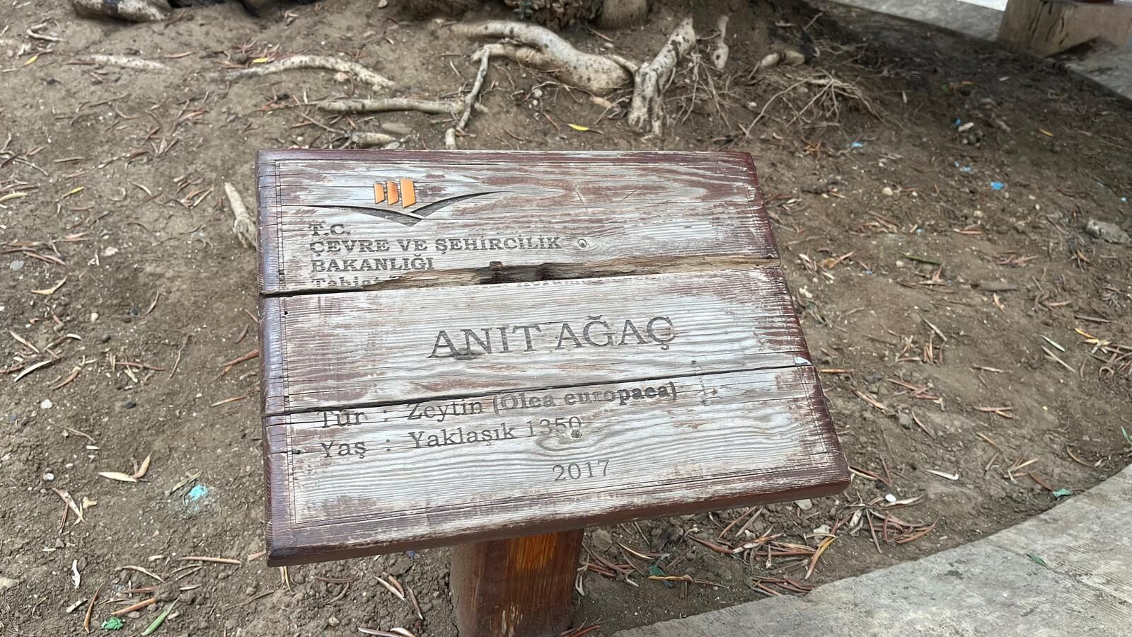 Sokullu Mehmet Paşa Külliyesi Hatay