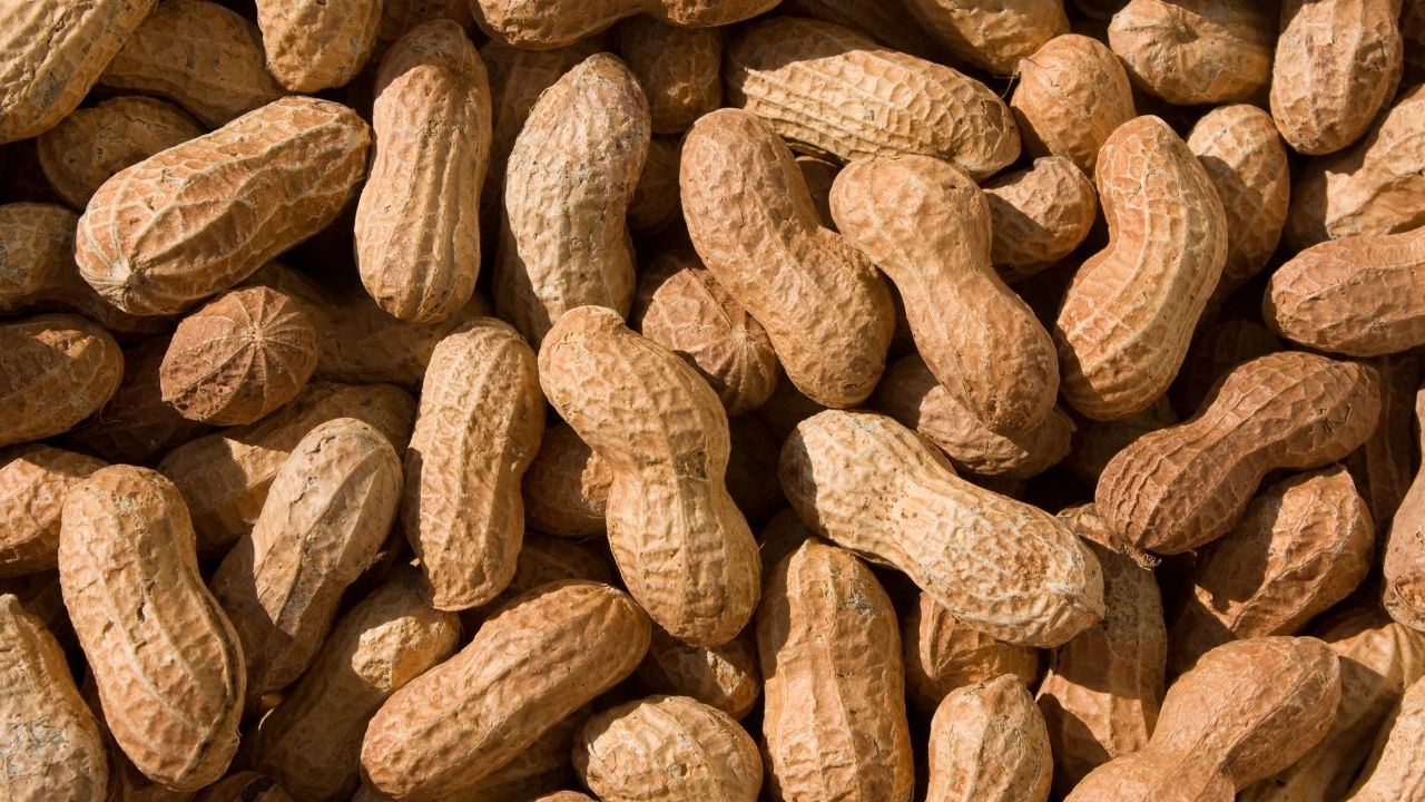 Osmaniye fıstığı