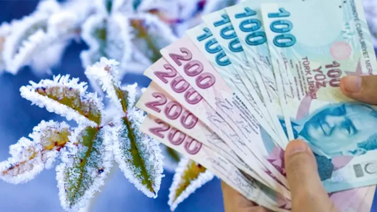 2025 Zirai Don Ödemeleri Ne Zaman Yatar Zirai Don Desteği Hangi Ürünleri Kapsıyor, Kimler Faydalanabilecek (3)