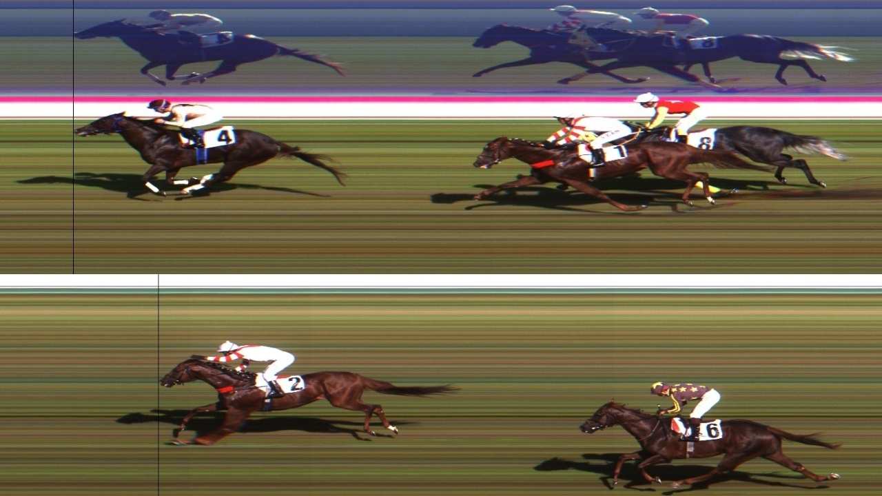 3.7 Milyon Tl Kazançlı Efsane Yarış Atı Hasafet Bu Yıl Osmaniye'de! (5)