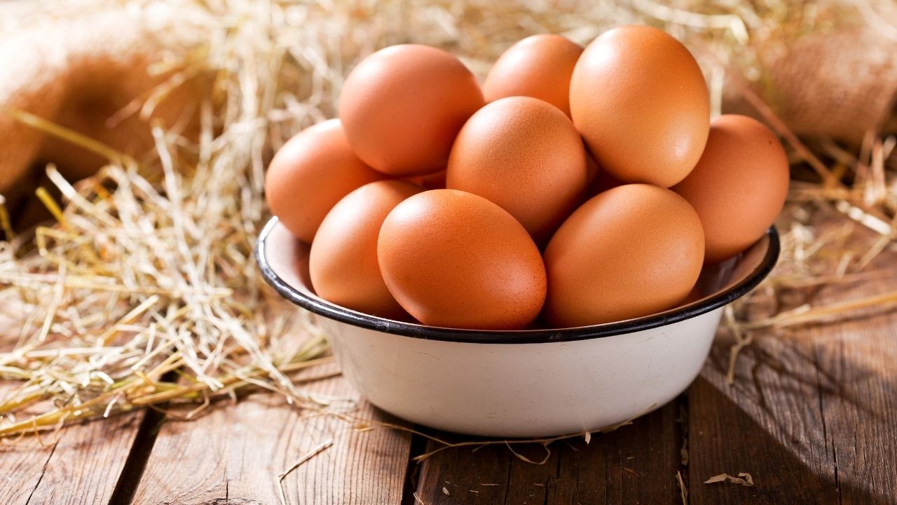 Bim Yüzde 50 Indirim (2)