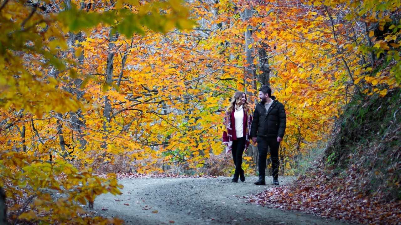 Dumanlı Yaylası Sonbahar Renkleriyle Büyülüyor (6)