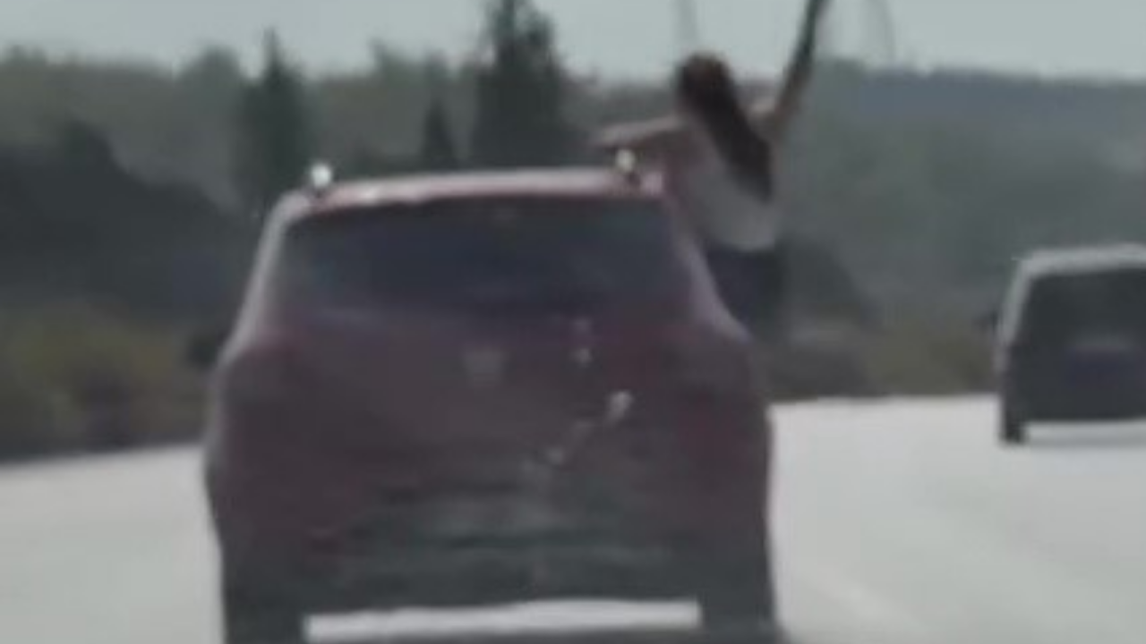 Ellerini Açarak Adanada Trafiği