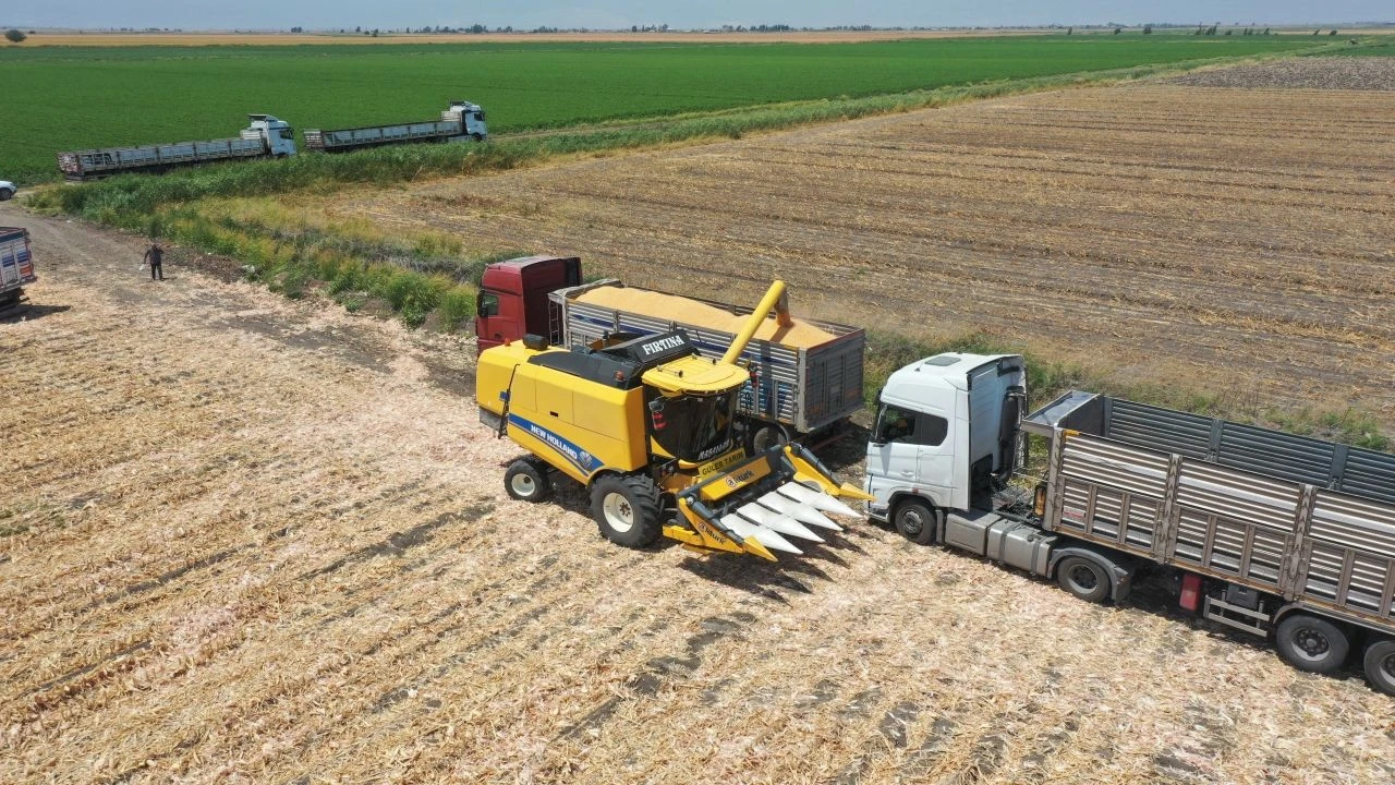 Hatay’da Çiftçiye Şok Karar Destek Beklerken Sınırlama Geldi