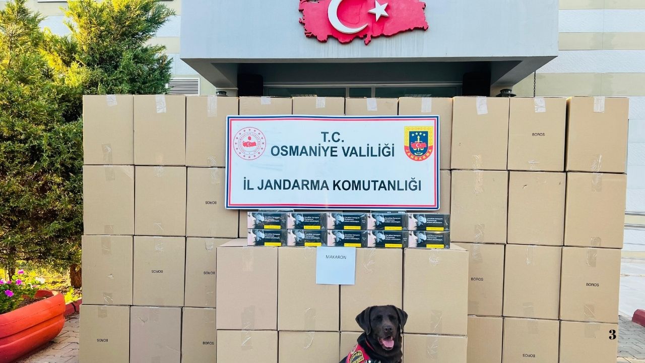 Il Jandarma Komutanlığı