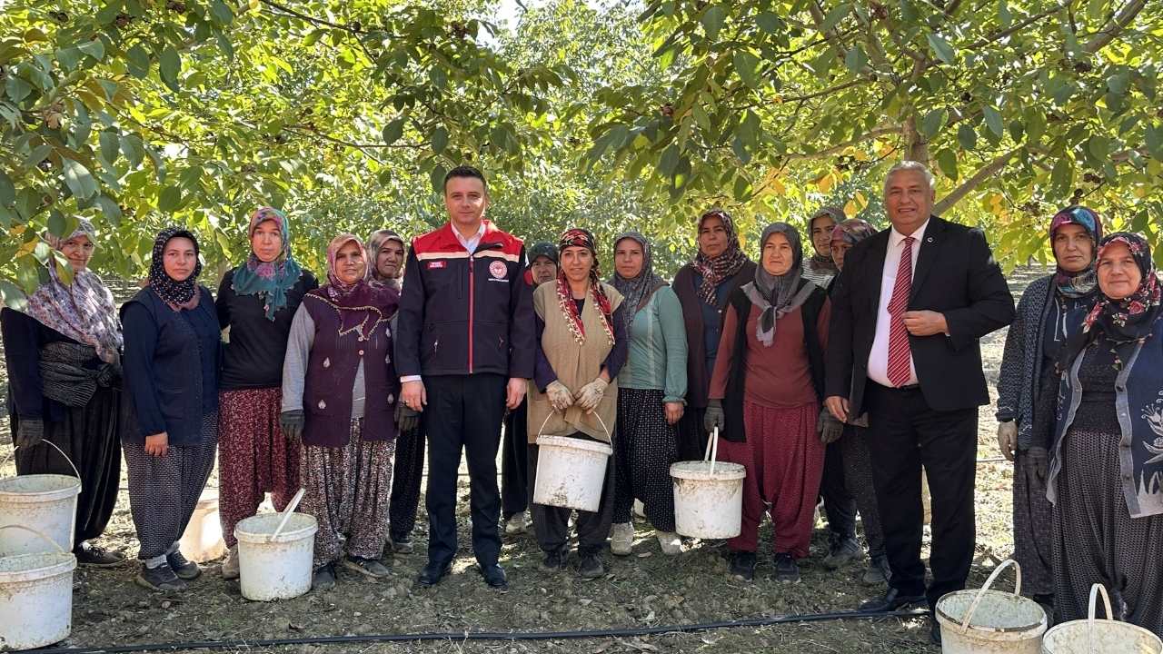 Kadınlar Üretiyor Osmaniye Büyüyor! Osmaniye Bahçe’de Ceviz Hasadı Başladı (7)