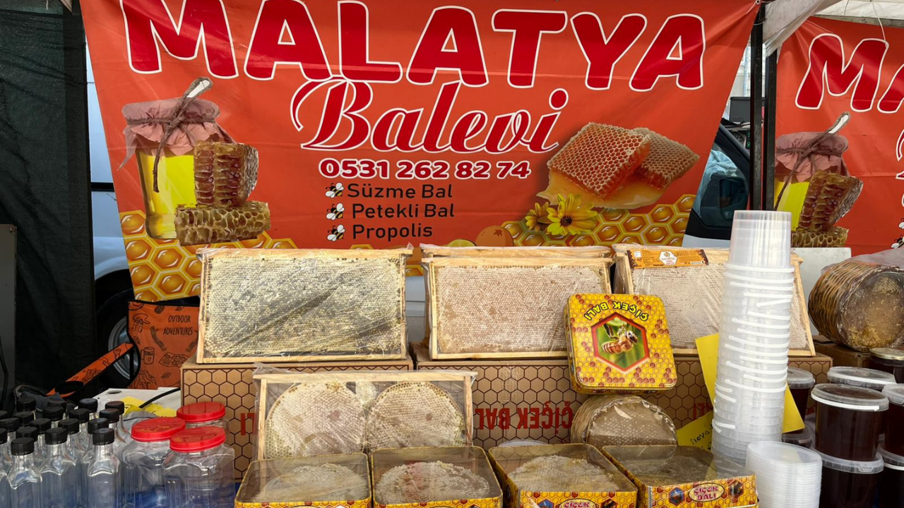 Malatya Baevi