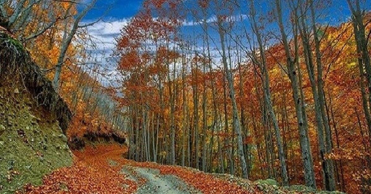 Osmaniye Dumanlı Yaylası 2