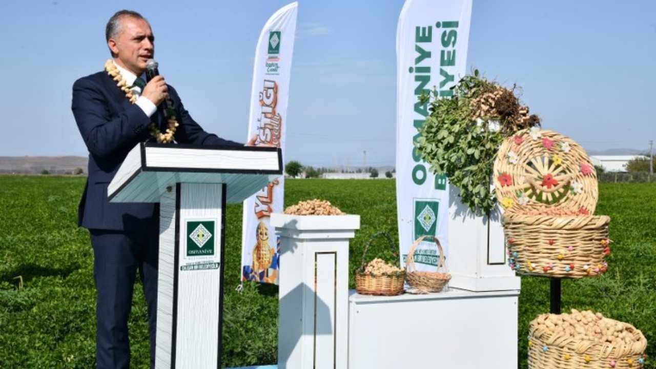 Osmaniye Fıstık Festivali Tanıtım Toplantısı Gerçekleştirildi! Yerfıstığının Başkenti Festivale Hazır! (2)