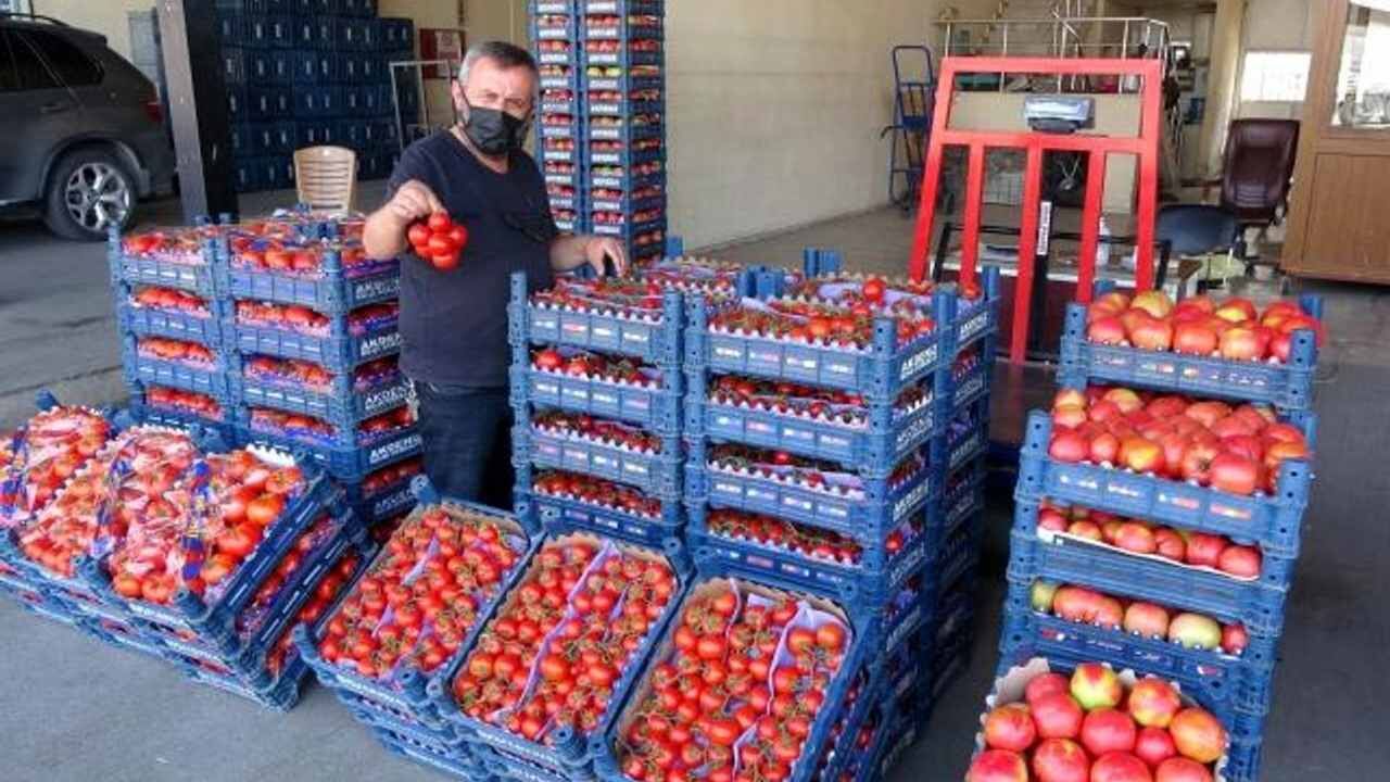 Osmaniye Sebze Hali Neden Bu Kadar Önemli (3)