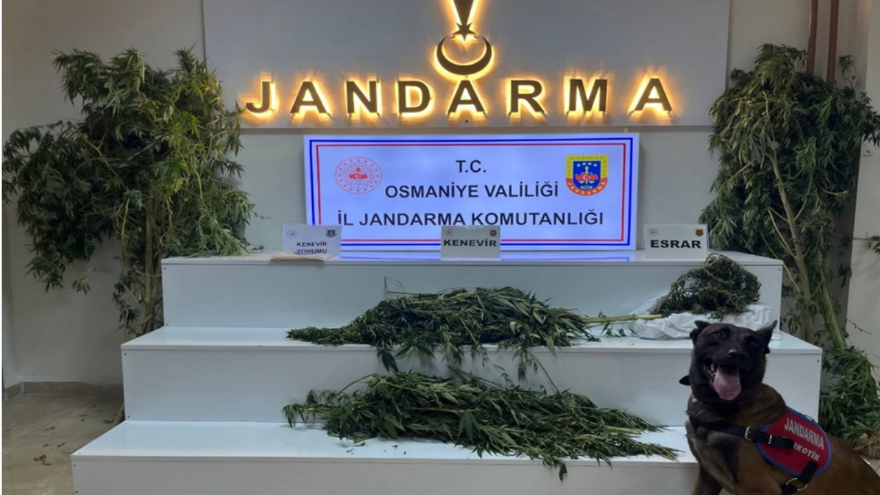 Osmaniye Valiliği Jandarma
