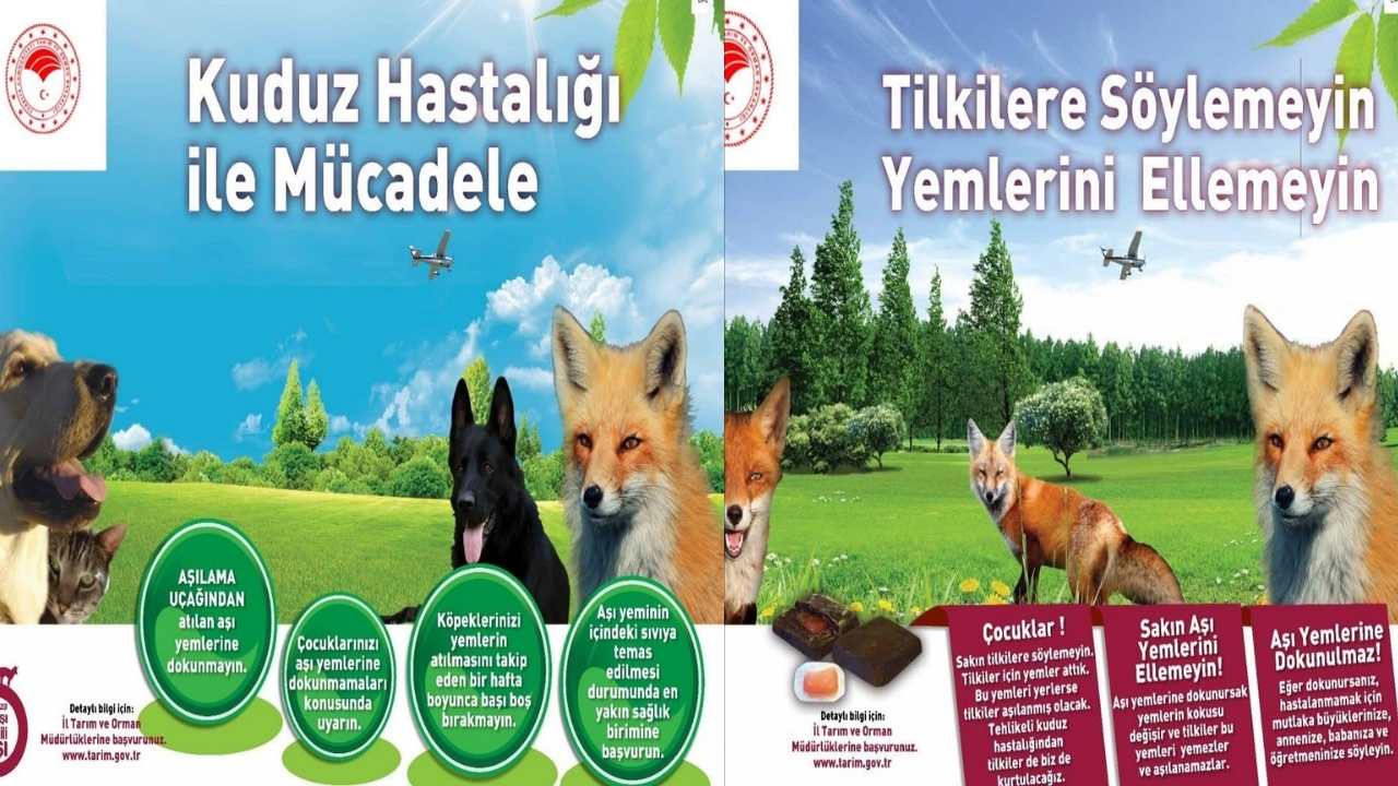 Osmaniye'de Kuduzla Mücadelede “Oral Aşı” Dönemi (1)