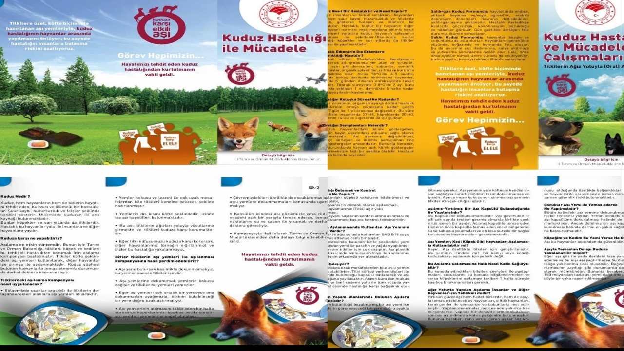 Osmaniye'de Kuduzla Mücadelede “Oral Aşı” Dönemi (2)