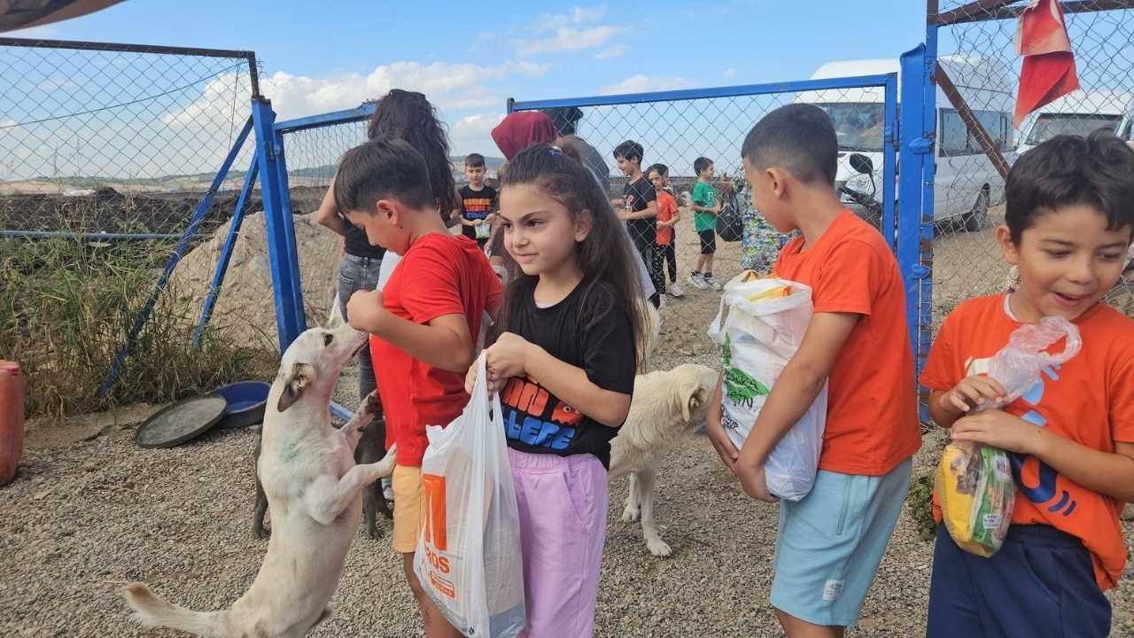 Osmaniye'de Minik Yüreklerden Can Dostlarına Sevgi Eli (2)