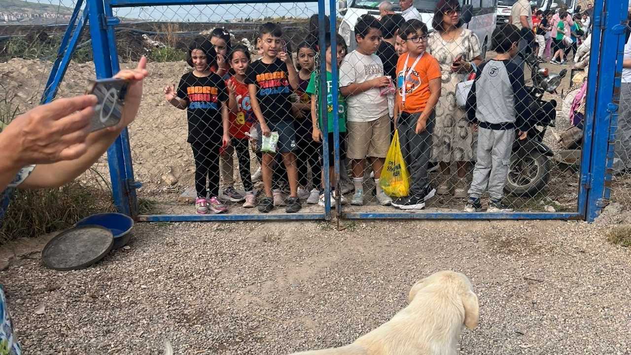 Osmaniye'de Minik Yüreklerden Can Dostlarına Sevgi Eli (3)