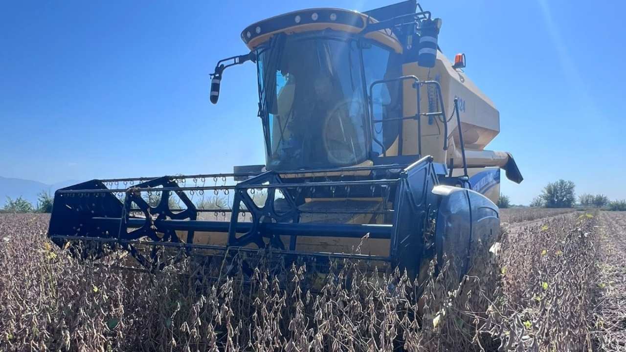 Osmaniye'de Soya Hasadı Başladı! (1)