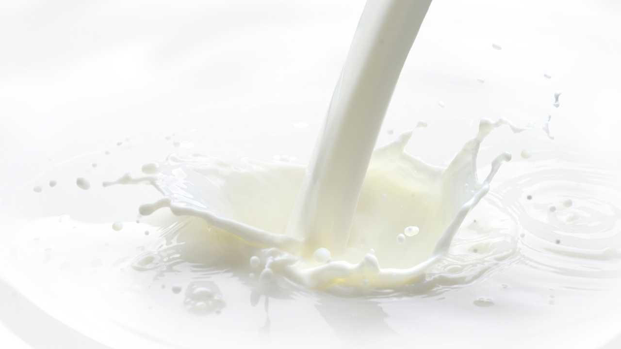 Osmaniye'den Süt Sektörüne Direniş (2)