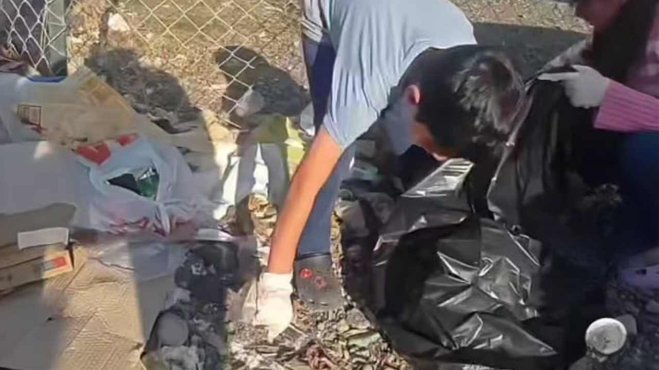 Osmaniye'nin Yeşil Kahramanı 12 Yaşındaki İremnur, (4)