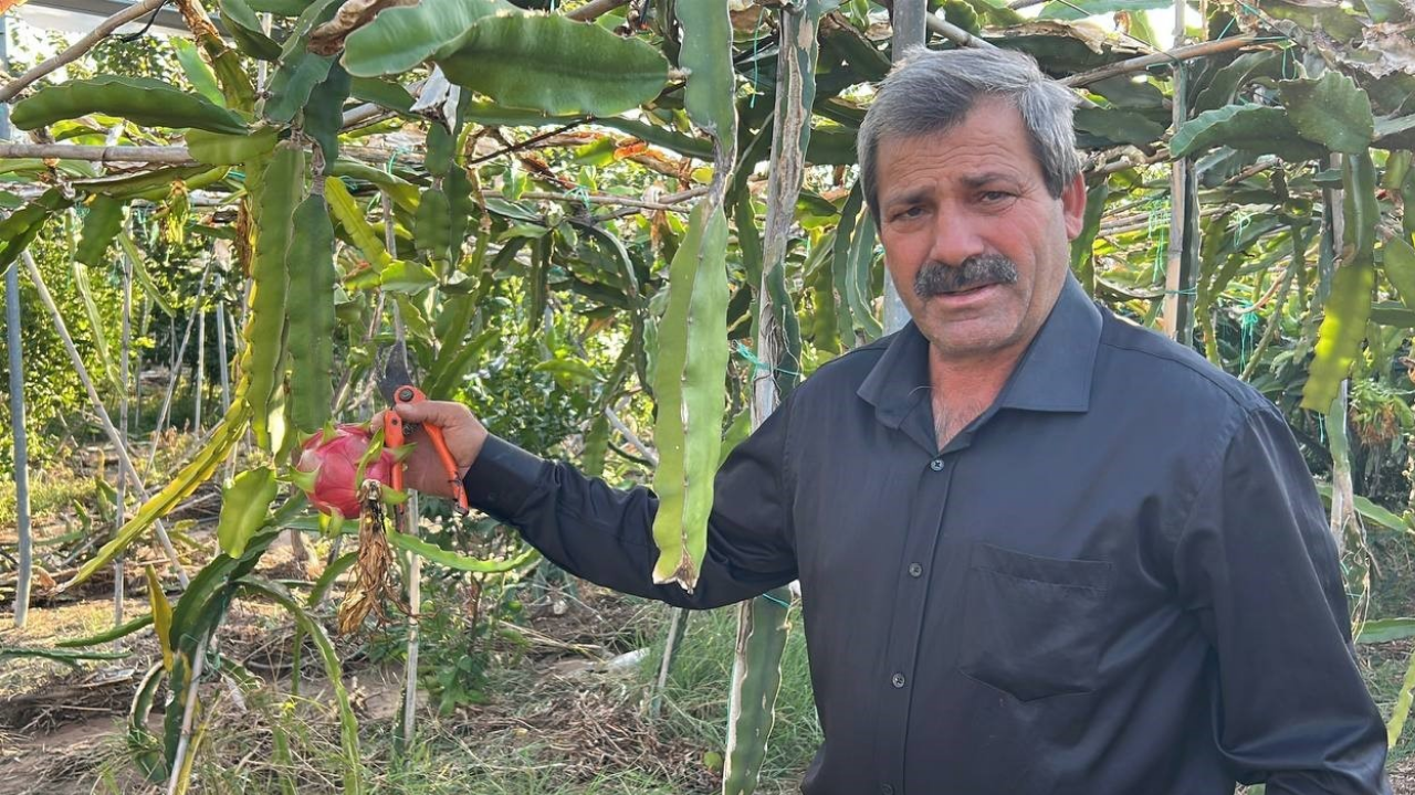Türkiyenin Her Yerinde O B Itki Yetisiyro