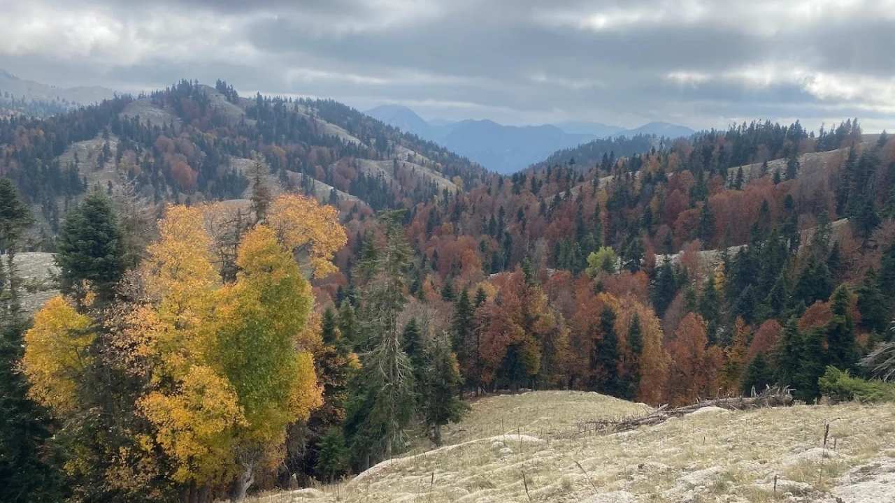 Adana Ve Osmaniye'nin Paylaşamadığı O Yer (1)